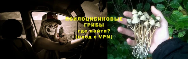 скорость Алексин