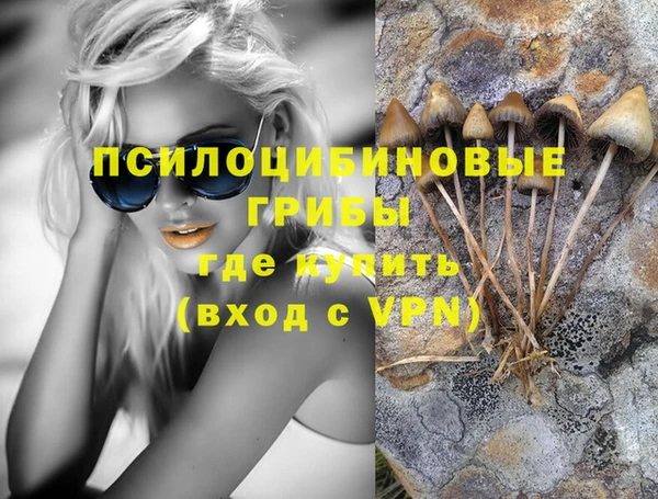 бошки Алзамай