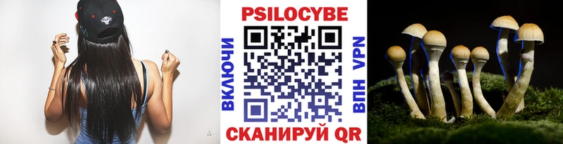 Галлюциногенные грибы Psilocybine cubensis  Бокситогорск 